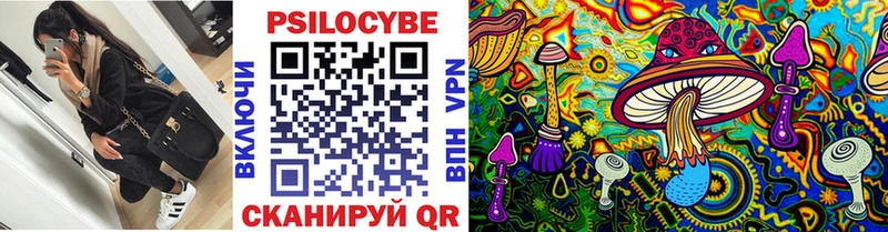 blacksprut зеркало  Строитель  Псилоцибиновые грибы Psilocybe  купить  цена 